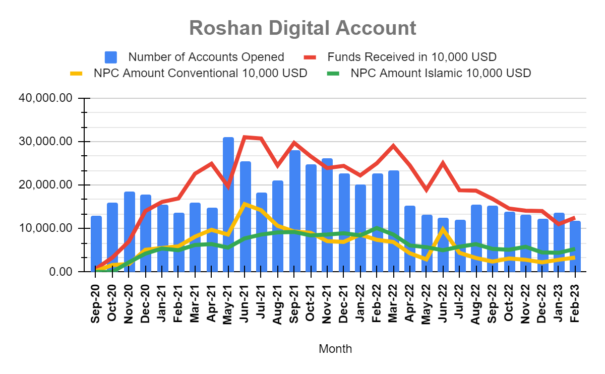 Analysis of Roshan Digital Account